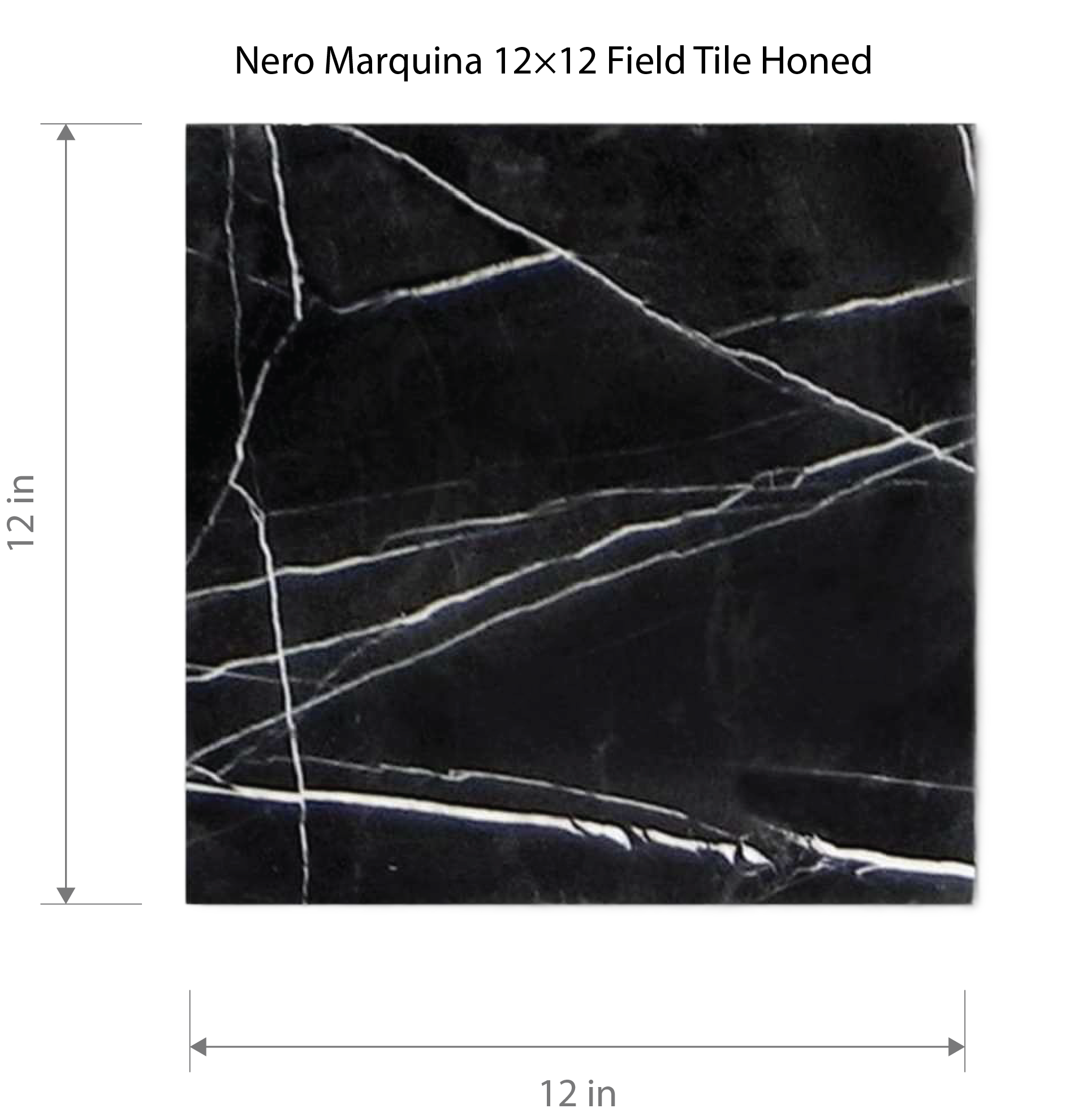 Nero Marquina 12×12 Field Tile Honed