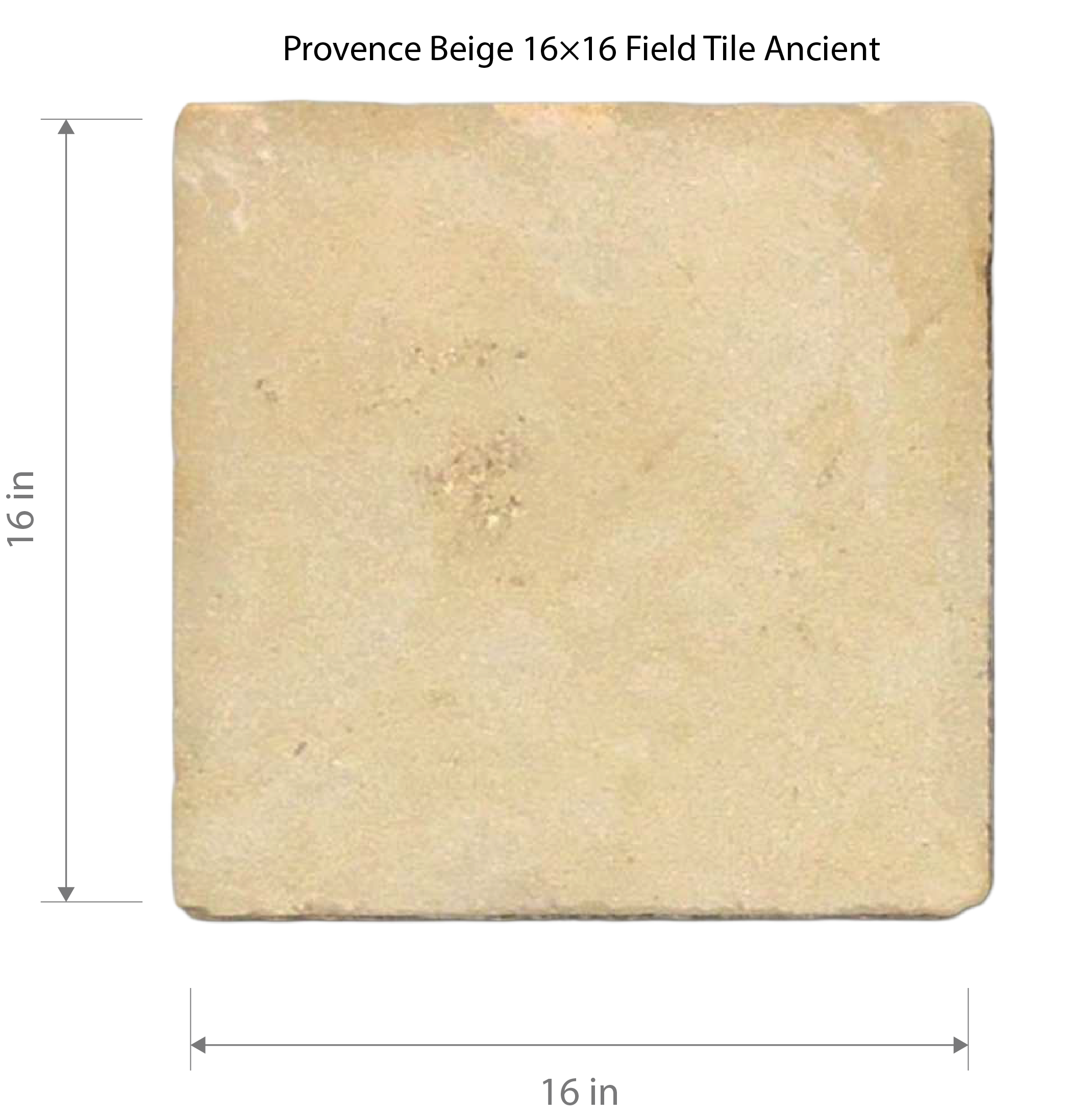 Provence Beige 16×16 Field Tile Ancient